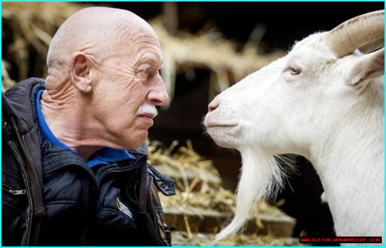 Is Dr. Pol Retired? The Truth Behind The Beloved Veterinarian